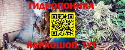 шишки Ливны