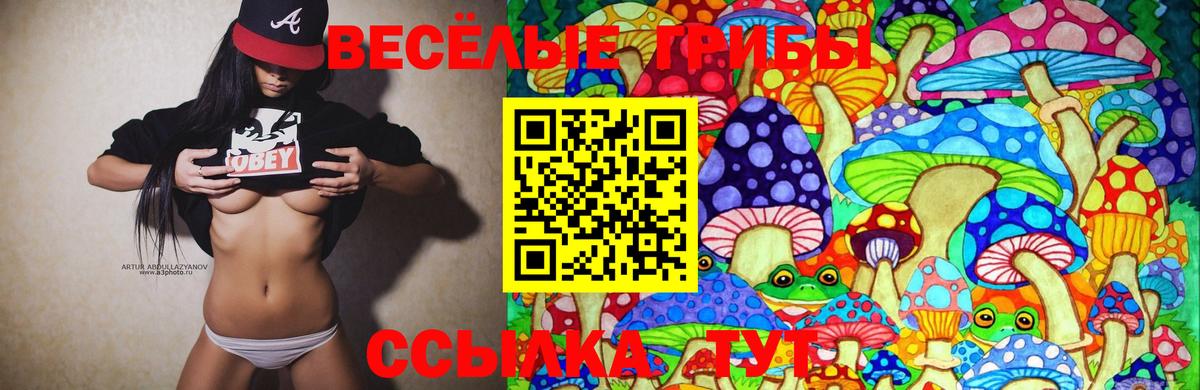 Галлюциногенные грибы GOLDEN TEACHER Татарск