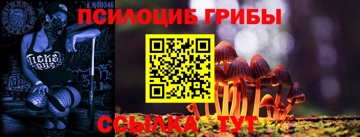 Галлюциногенные грибы Magic Shrooms  Вход с VPN  Псилоцибиновые грибы Psilocybe  Татарск 